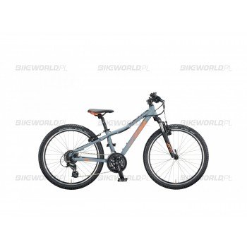 ktm-wild-speed-disc-249-2020.jpg